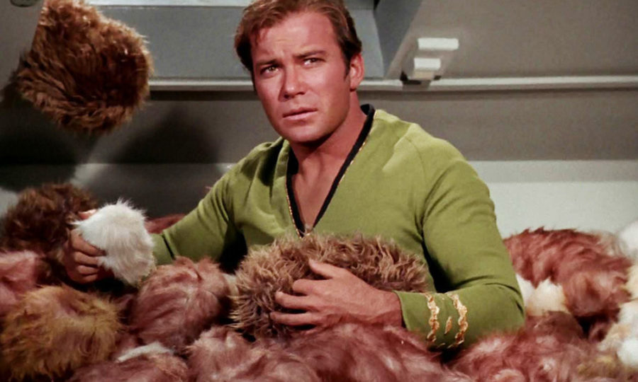 tribble meaning star trek