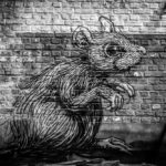 Graffiti rat on a brick wall.