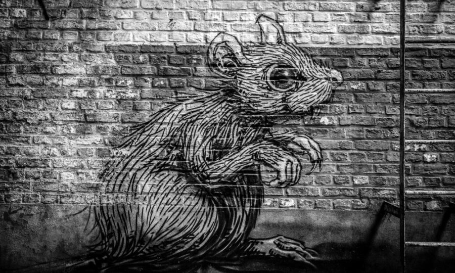 Graffiti rat on a brick wall.
